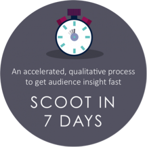 Scoot Insights
