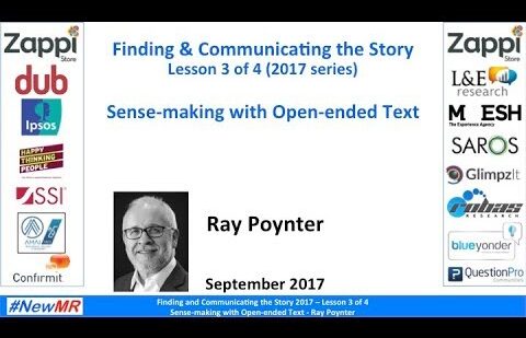 Sense-making with open-ended text
