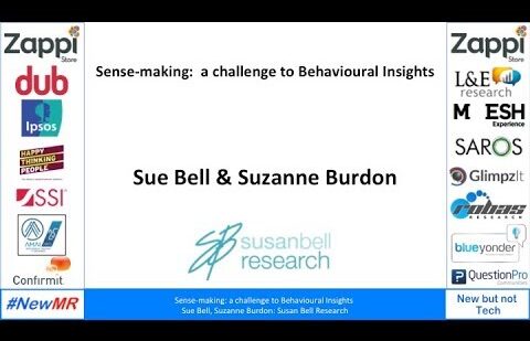 Sense-making – a challenge to behavioural insights