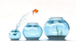 New Thinking in Insights – Asia Pacific