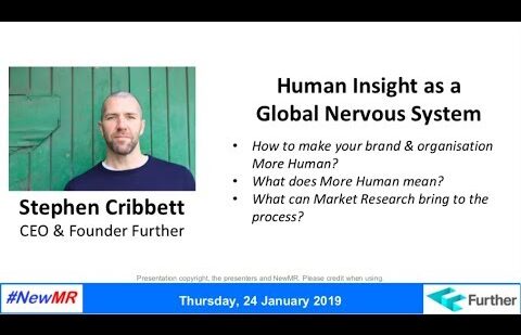 Human Insight as a Global Nervous System