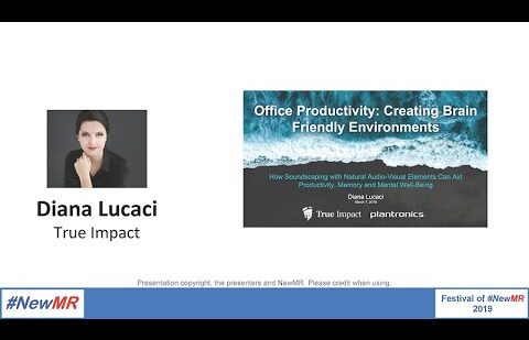 Office Productivity: Creating Brain Friendly Environments