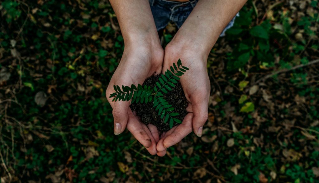 Conjoint.ly now offsetting carbon emissions with every purchase