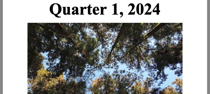 The State of Insights – Quarter 1, 2024 – the Report