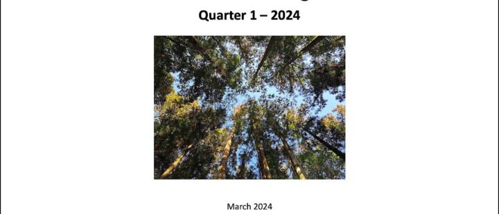 The State of Research Insights in Q1 2024