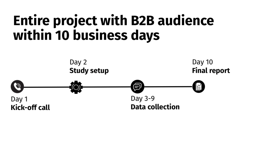Entire project with B2B audience within 10 business days